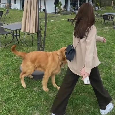 在撒哈拉世界的大门
